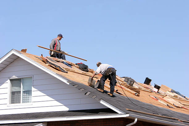 Best Cold Roofs  in Millville, DE