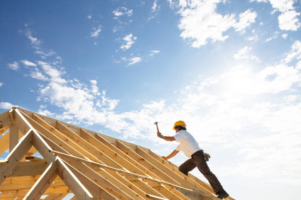 Best Roof Maintenance and Cleaning  in Millville, DE